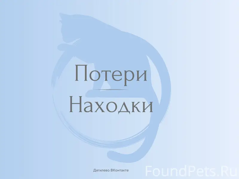 Пропал рыжий кот, 2-ой Аллейный проезд