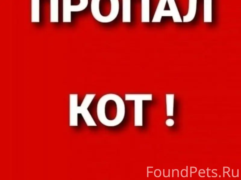 Пропал рыжий кот, Мраково, Кугарчинский район