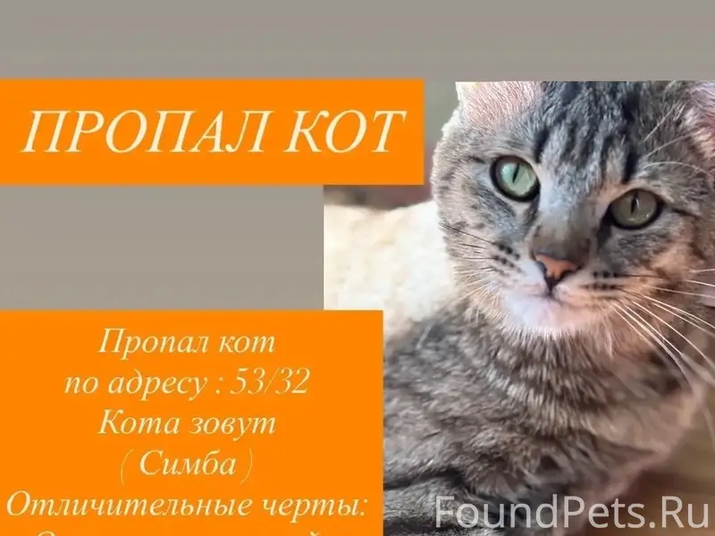 Пропал кот, 53/32