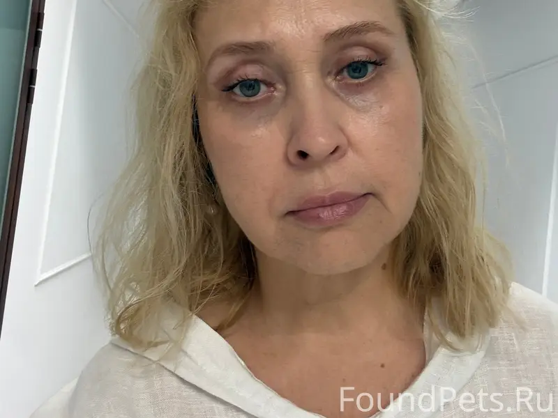 Найдена кошка, подъезд