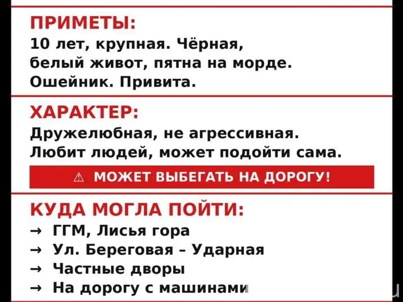 Пропала собака Тучка, район Старая Гальянка