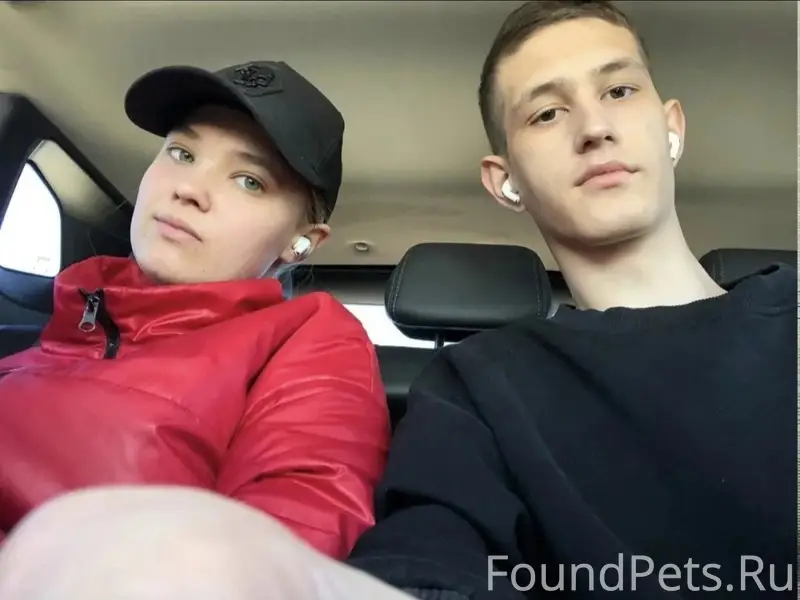 Пропала собака, Русский охотничий спаниель, Краснодар