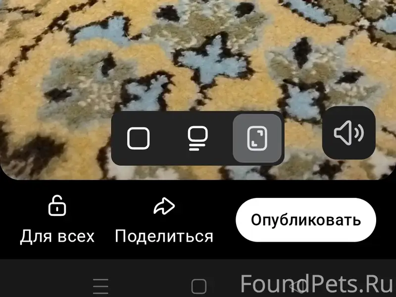 Пропал длинношёрстный серый кот, территория 4 гимназии