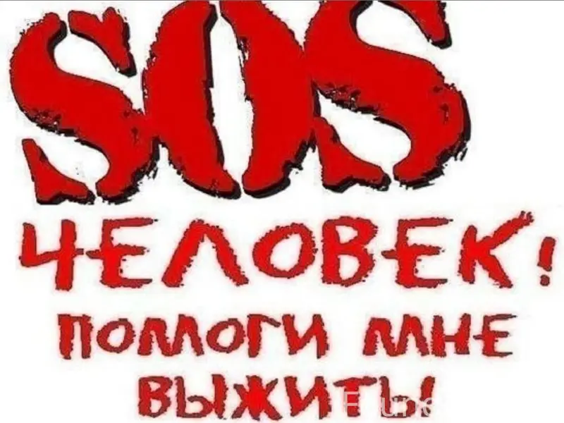 Найден котёнок, спинальник, Энгельс