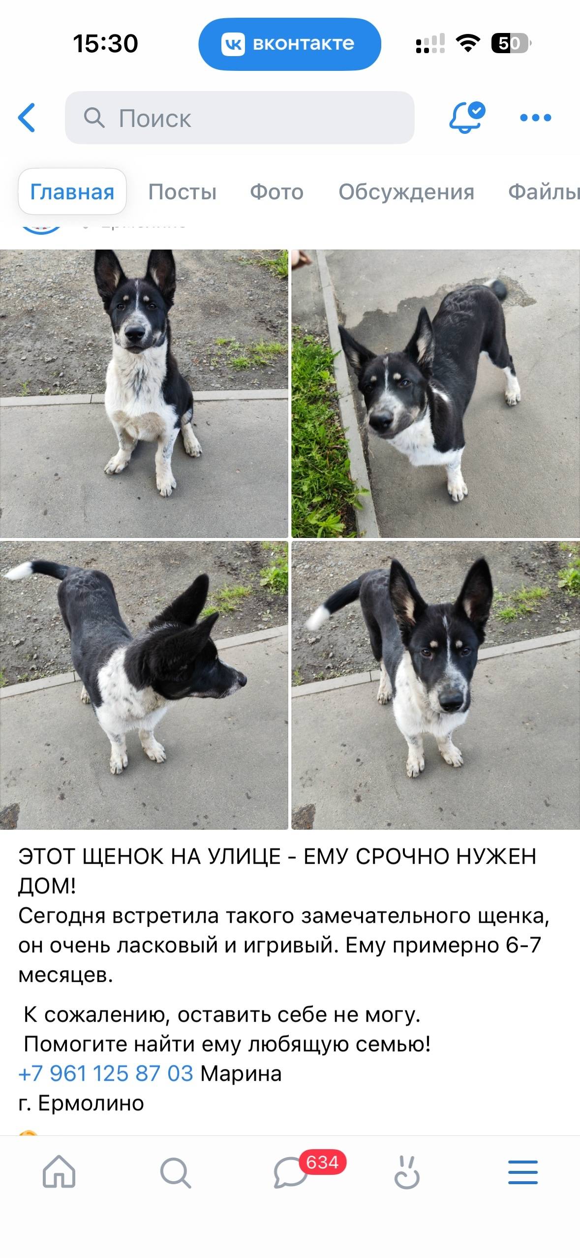 Пропал щенок, Ермолино