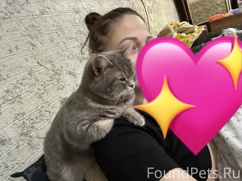 Пропала шотландская кошка, Кукуштан
