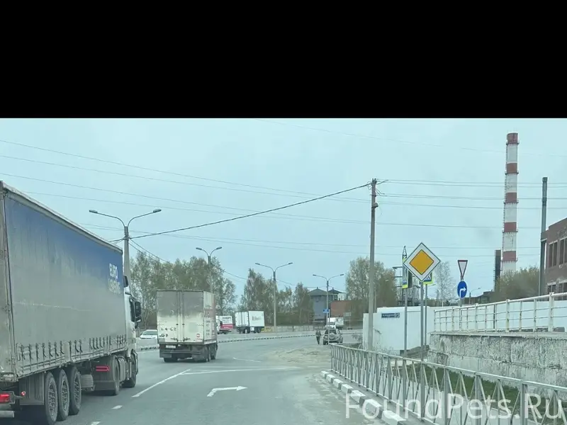 Пропала такса, район остановки «Речкуновка»