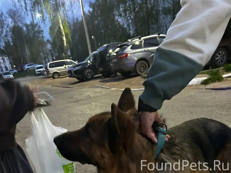 Найден мальчик, Кабалевского 23
