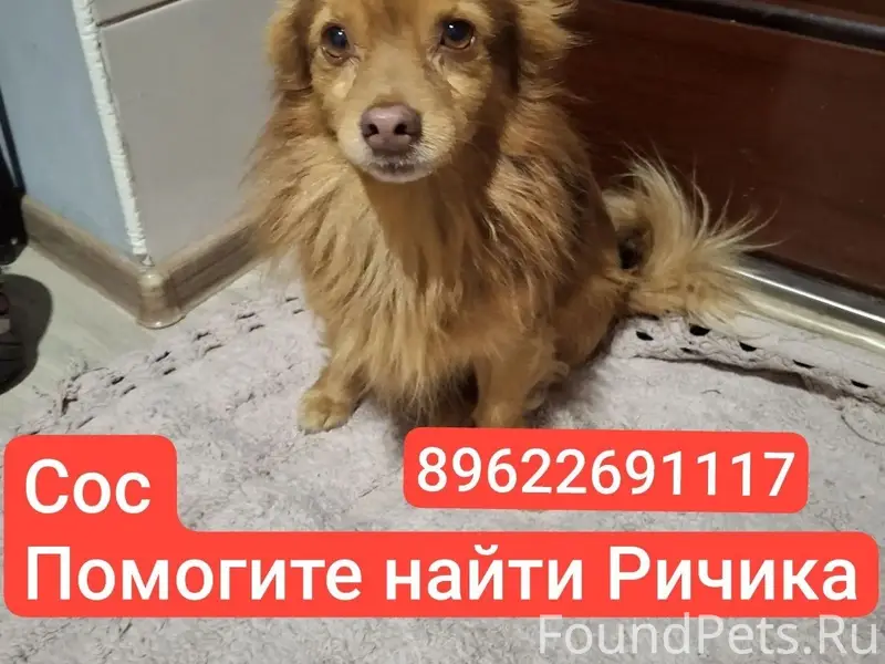 Пропал Ричик, Дорожное