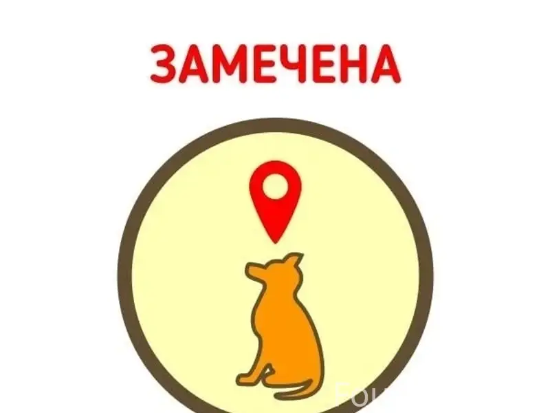 Пропала тойчик, трасса М5