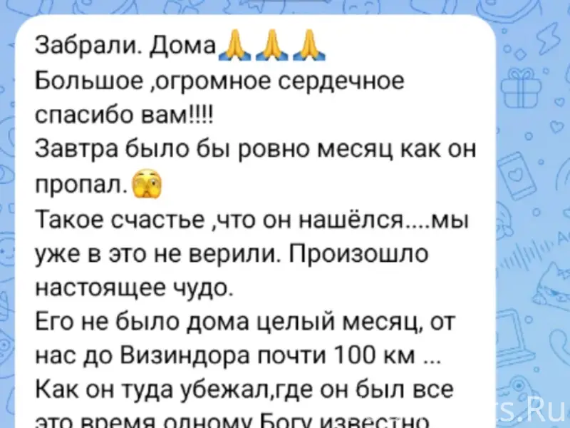 Найден пёс, Прилузский район, Визиндор