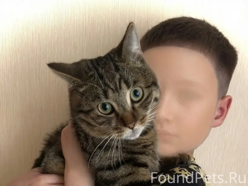 Пропал кот Марс, Ю-Запад