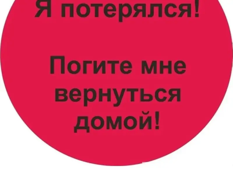 Пропал пес, район Горячеводской площади