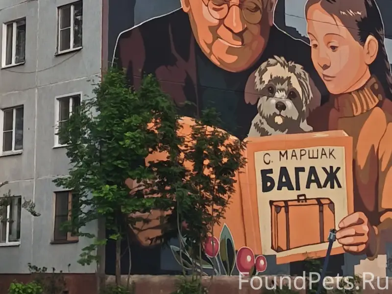 Пропал щенок, станция Дно