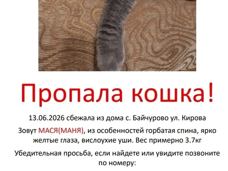 Пропала кошка Мася (Маня), с. Байчурово