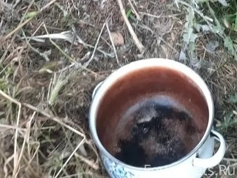 Пропал пёс, Феодосия