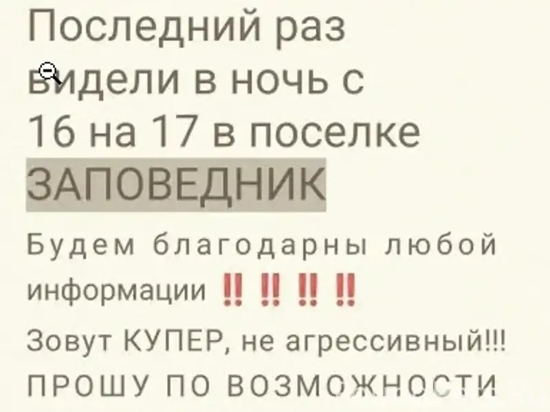 Пропала собака, Сысертский район