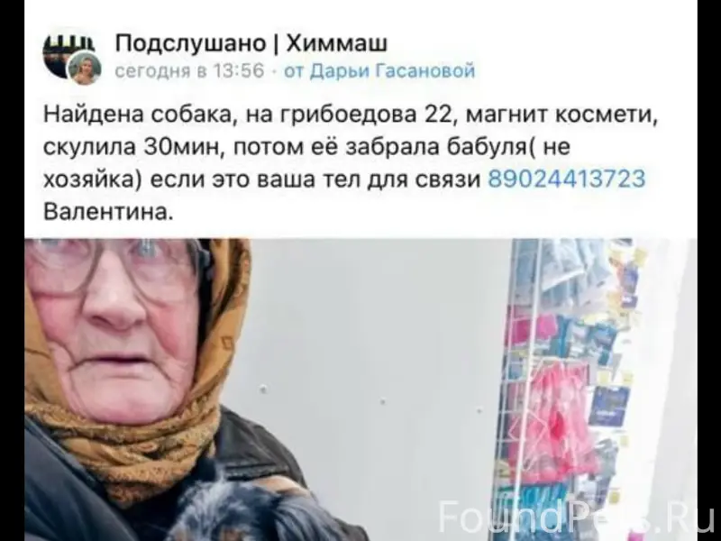 Пропала маленькая худенькая собака, Химмаш
