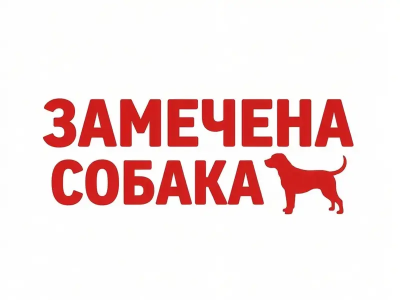 Найден кокер-спаниель, Коминтерновский район