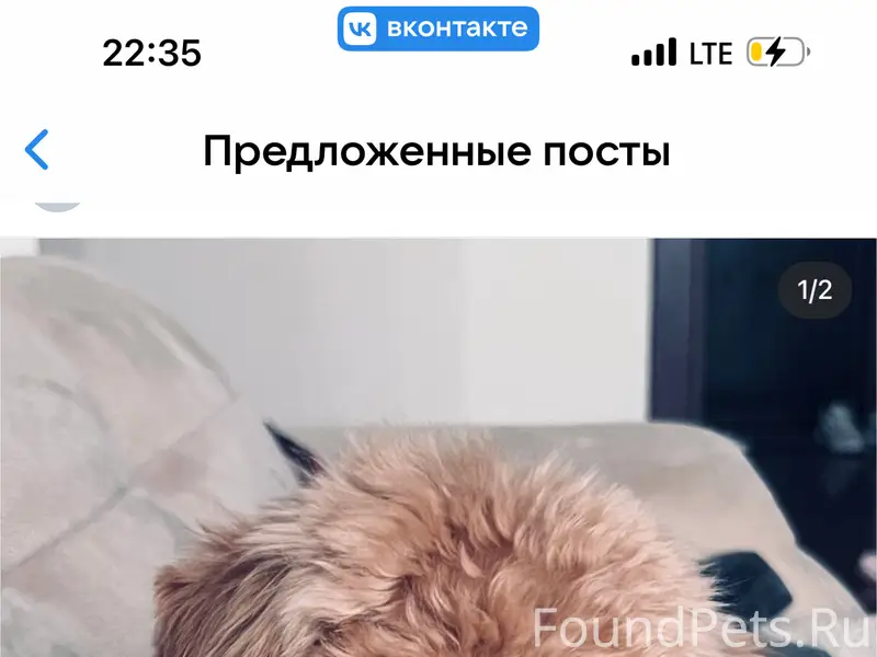 Пропал мальчик мальтипу 