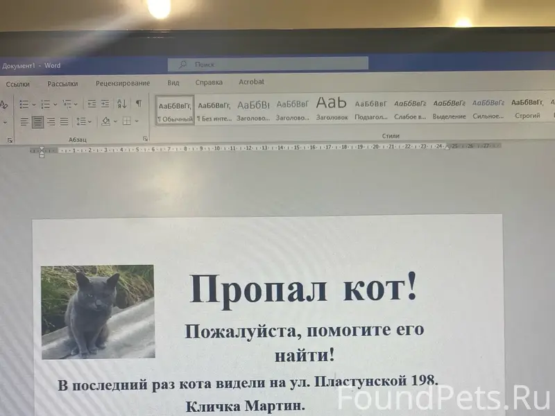 Пропал кот Мартин, улица Пластунская 198/А