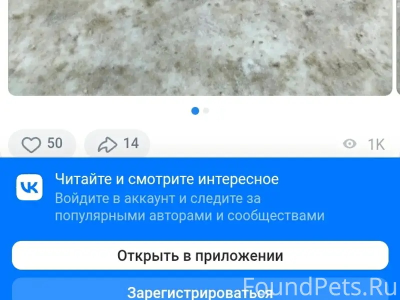 Пропала собака, есть бирка и ошейник