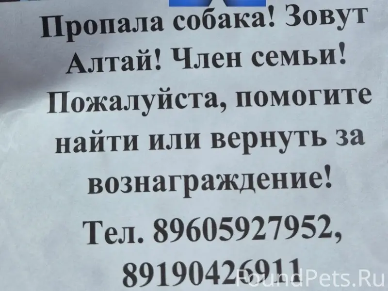Пропали собаки, Кардымовский район, Демидов