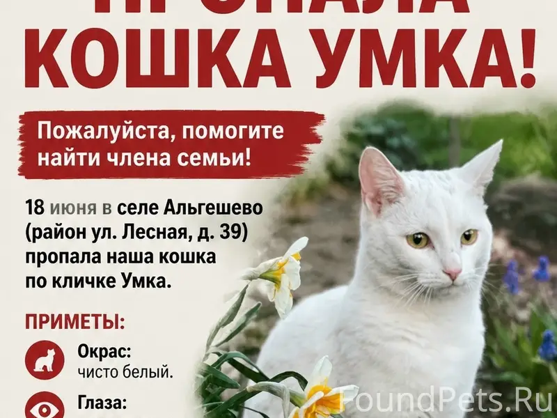 Пропала кошка Умка, с. Альгешево