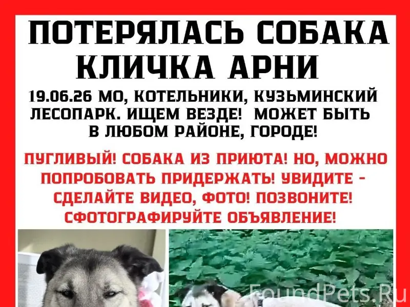Помогите  найти  Арли 