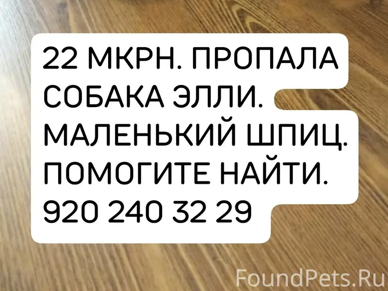 Пропала мелкая собака, 22-й микрорайон