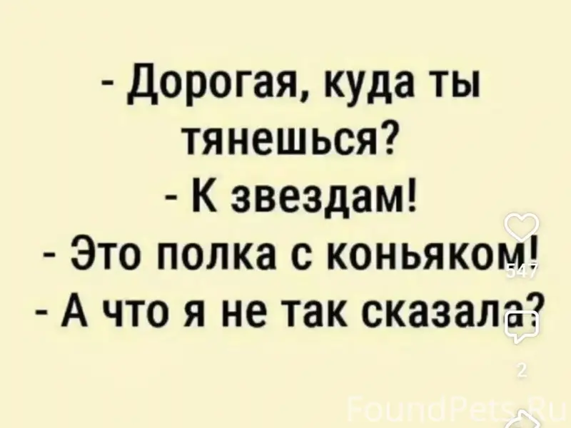 Пропала кошка Фрося, дача