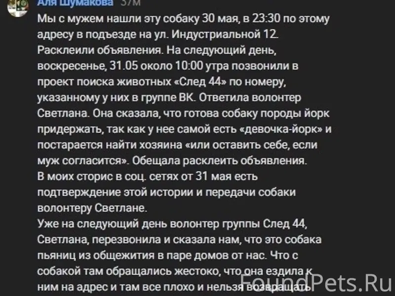 Пропал Йорк Марс, место пропажи не указано