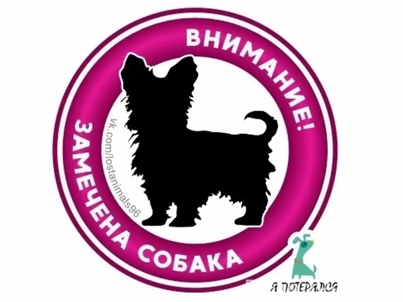 Найден метис, Екатеринбург, Анри Барбюса