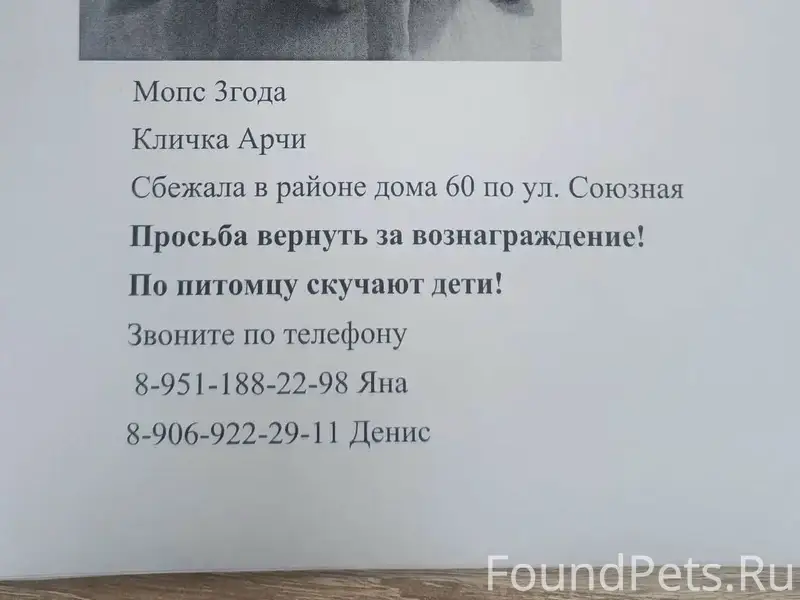 Пропал мопс Арчи, Красная горка