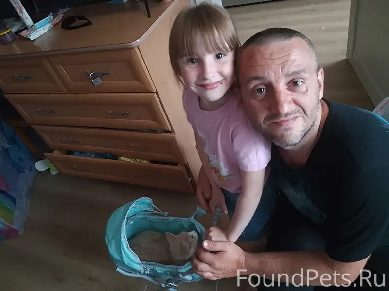 Пропал кот Кеша