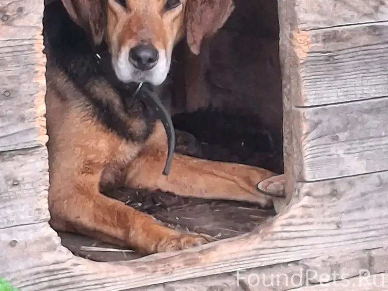 Найден тип неизвестен, д. Ожеги
