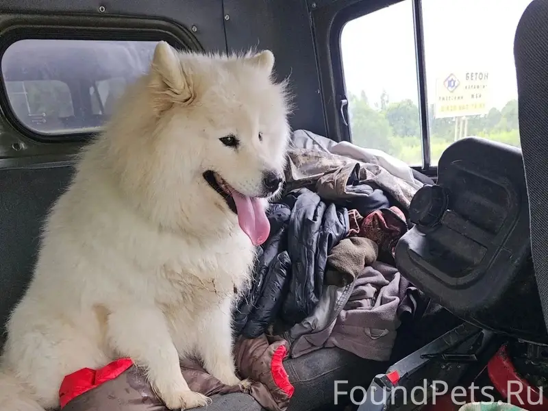 Найден самоед, Зубцовский район