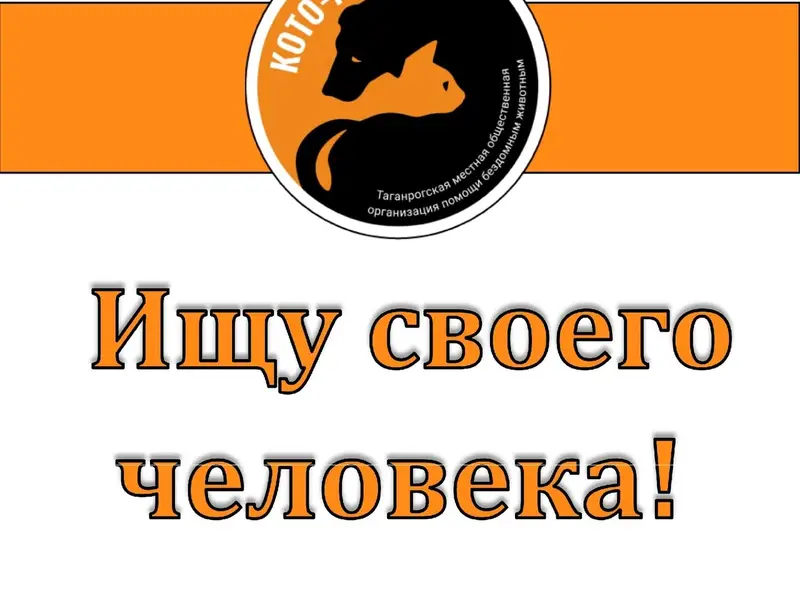 Найден щенок, Андреевский район