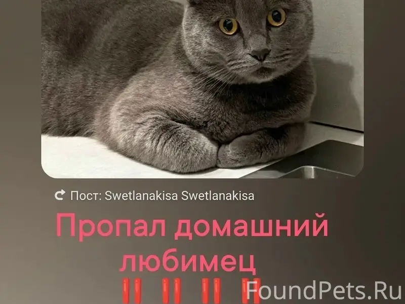 Пропал британец, район Нариманова, Ростов-на-Дону