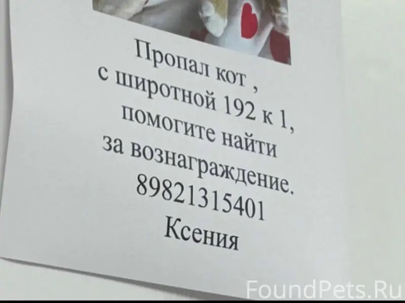 Пропал кот, Широтная
