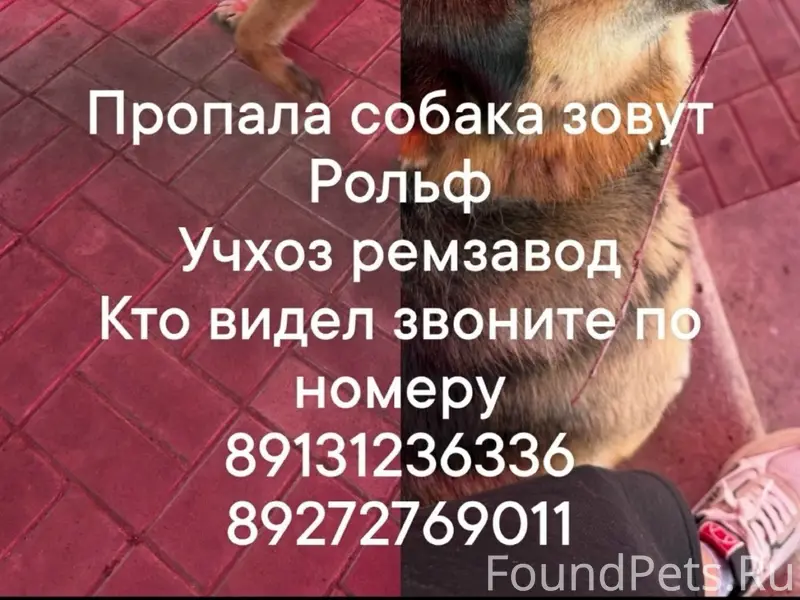 Пропал Рольф, Учхоз ремзавод