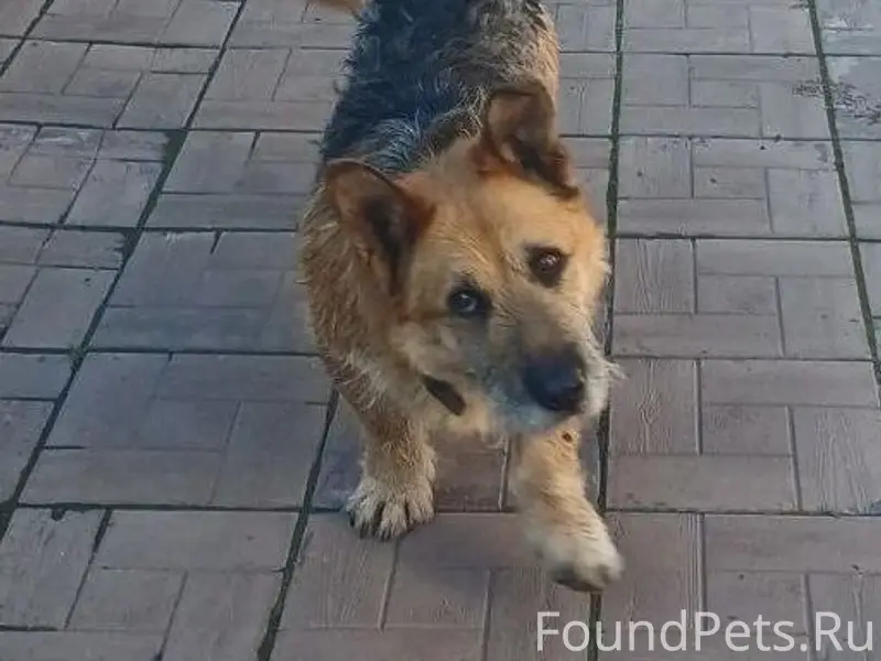 Пропал Гром, район Рудничный, шахта Северная