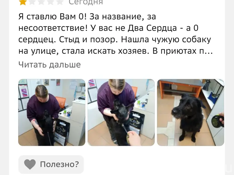 Найден пёс, Южный
