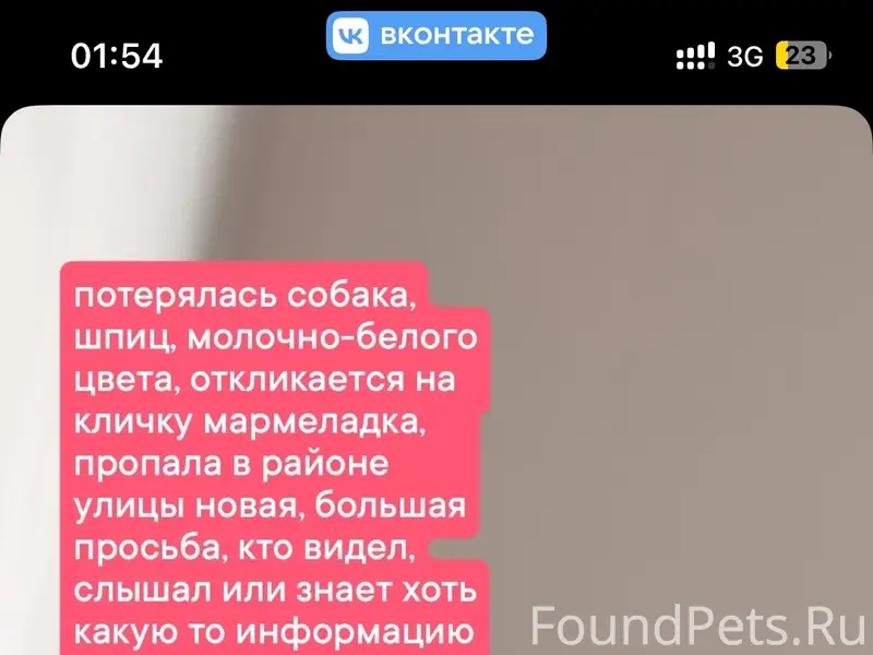 Пропала собака, улица Новая