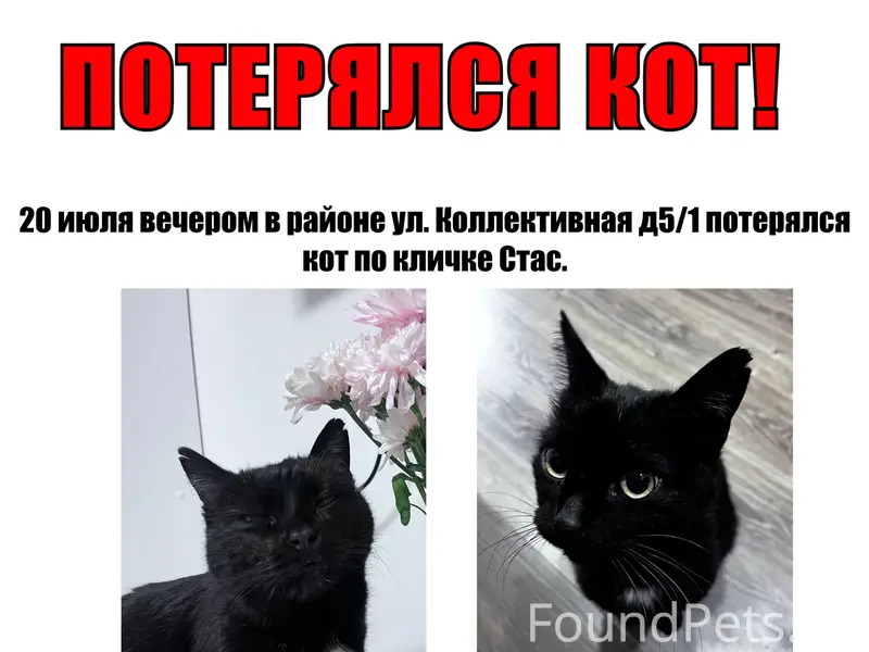 ПРОПАЛ КОТ В ЮЗР