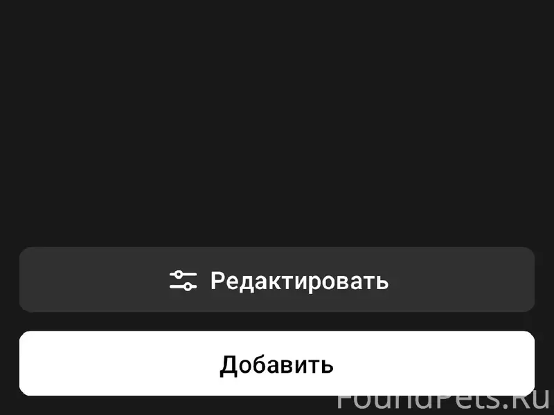 Пропала чихуахуа, Каяс