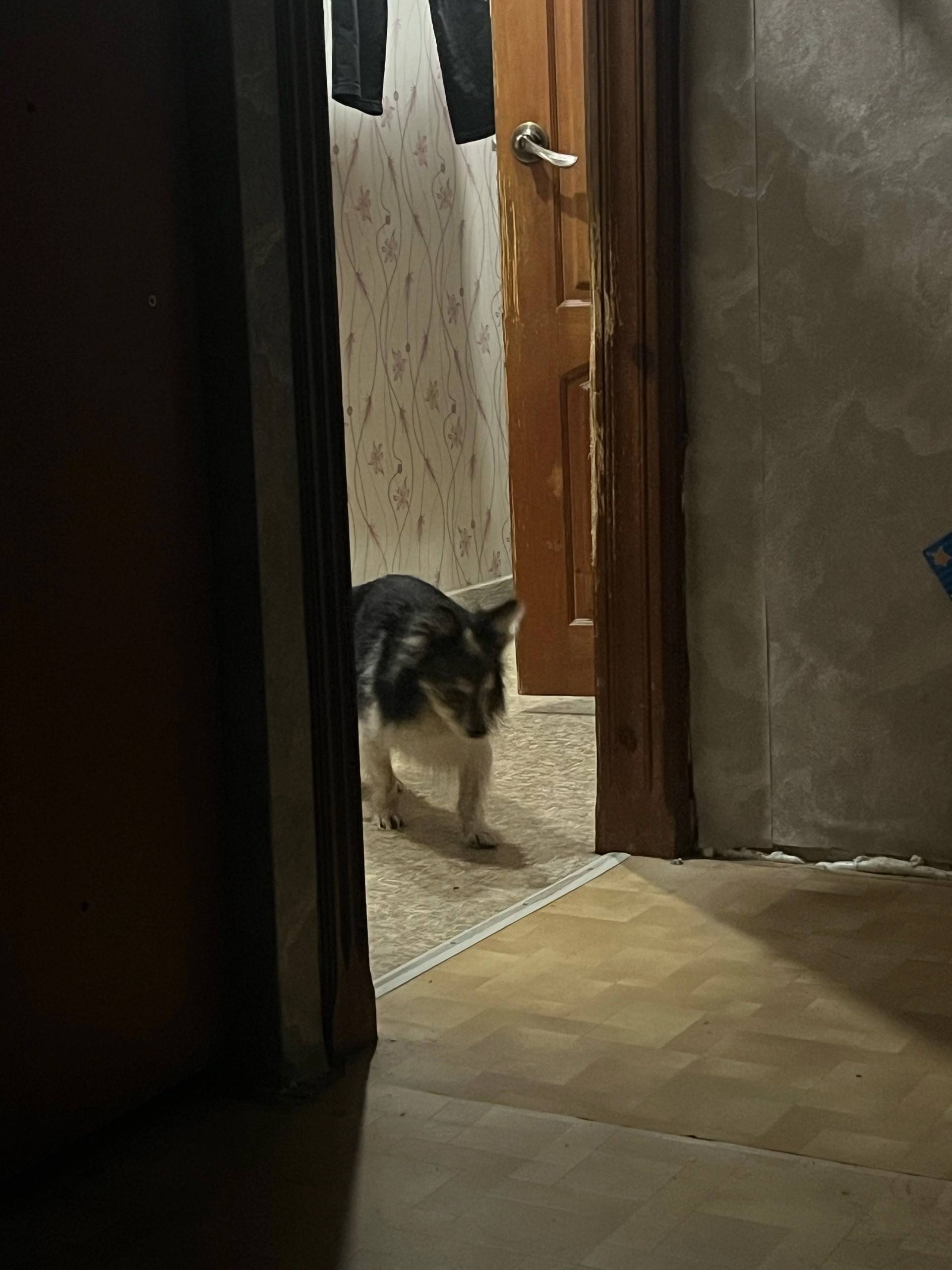 Найден мальчик, [место] п. Юрьевец