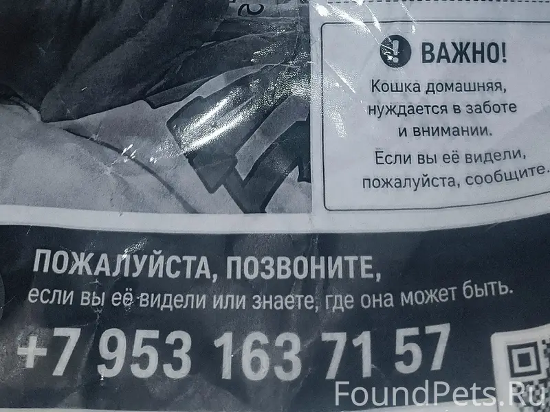 Пропала кошка Стефани, Красная горка