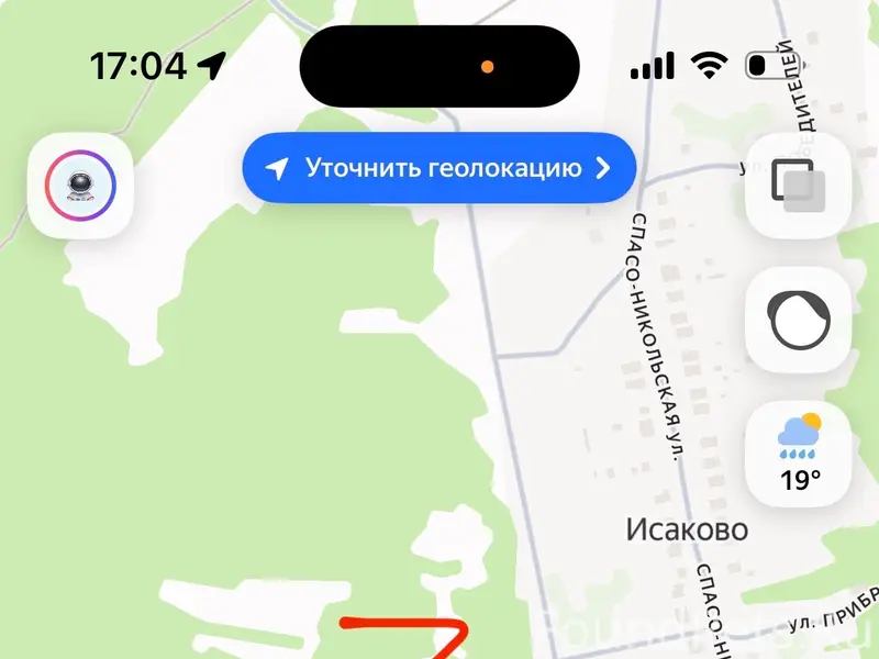 Пропала беспородная кошка Цири, трасса М4
