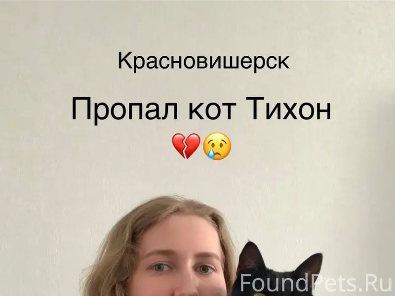 Пропал кот Тихон, Красновишерск